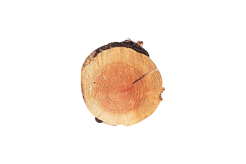 Boomschijf met schors Ø25