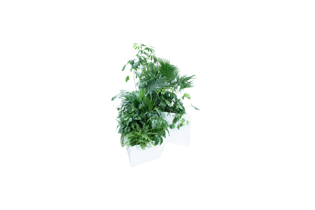 Kopenhagen plantenbak compleet – incl. planten