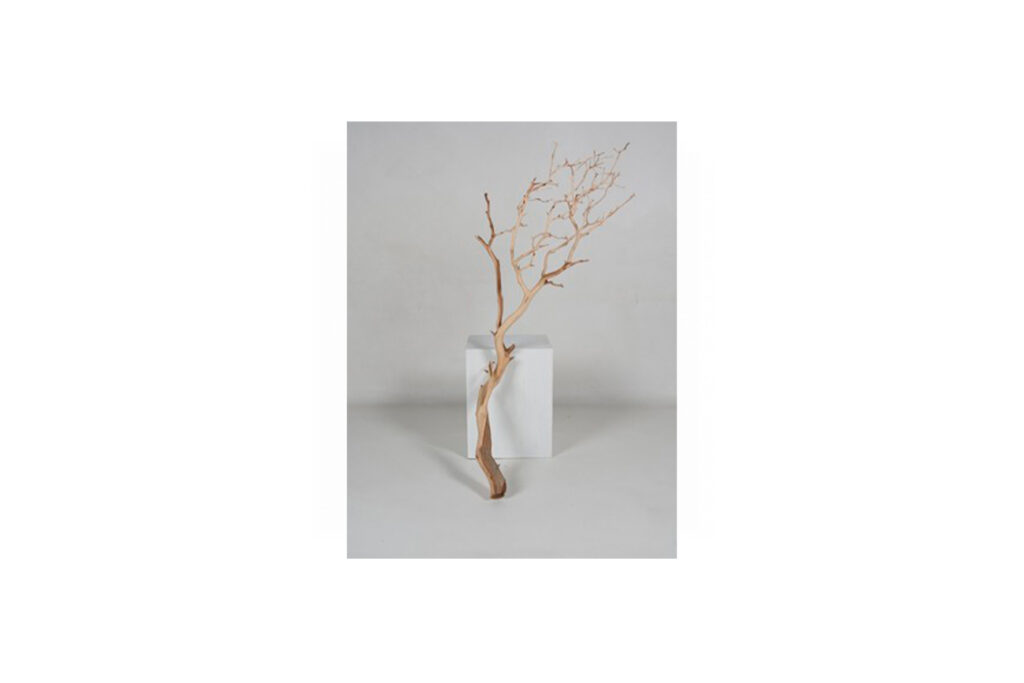 Kunst tak | Manzanita sandblasted L120