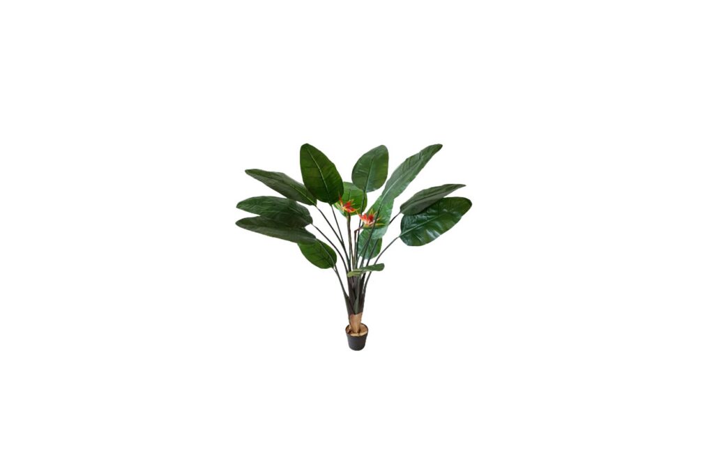 Kunstplant | Strelitzia H140
